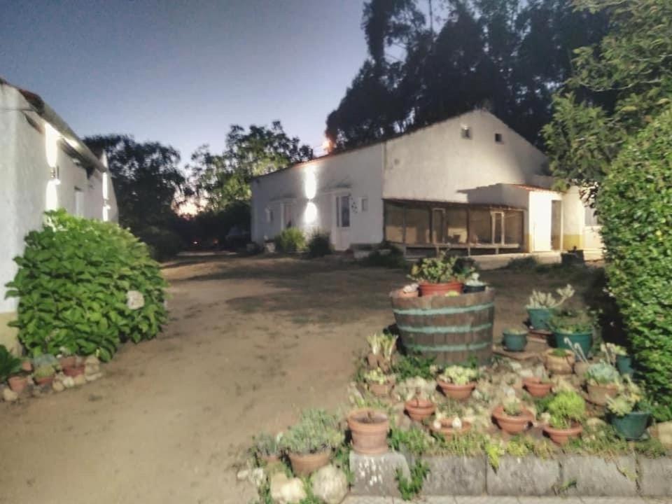 Macinhata do VougaQuinta Da Mesa别墅 外观 照片